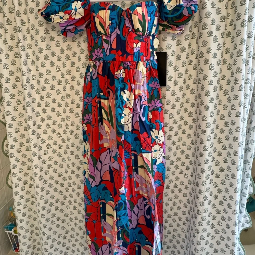 Tuckernuck climbing cosmos maxi dress - Picture 5 of 8